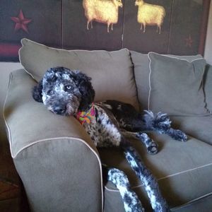 Meet your Posher, Kathi